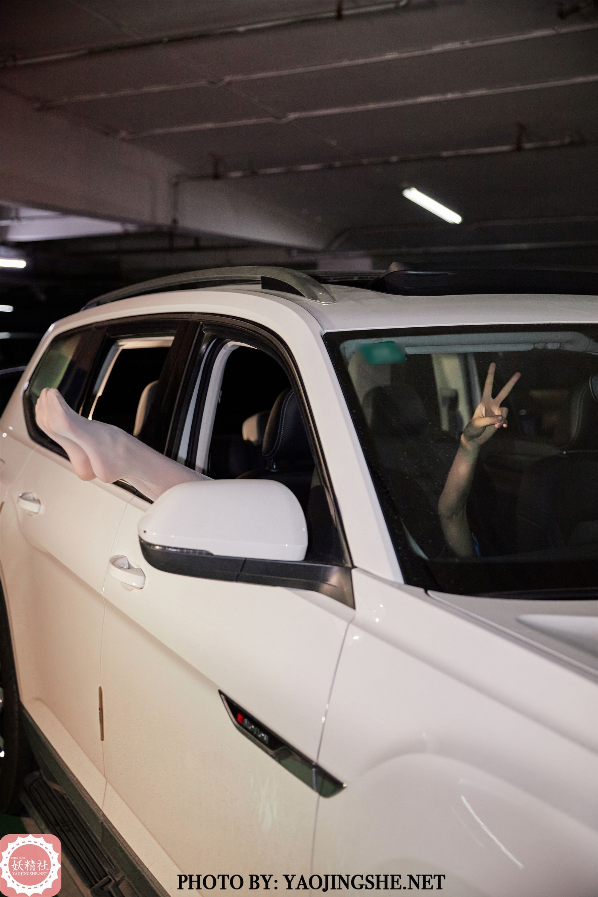 FAIRY CLUB妖精社 2021.11.10 B2119《苏伟-停车场里的风景》钻石版